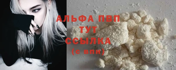 стафф Новодвинск