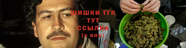 мдпв Няндома
