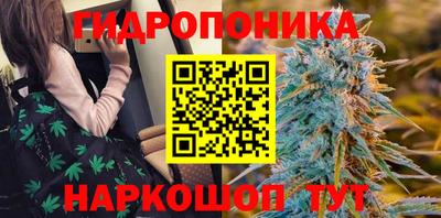 каннабис Баксан