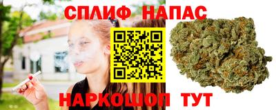 стафф Анапа
