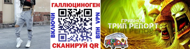 Псилоцибиновые грибы Cubensis  Новосибирск 