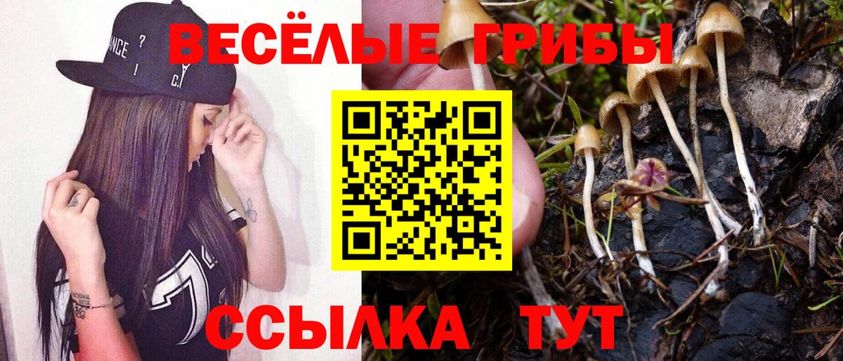 Псилоцибиновые грибы Magic Shrooms Новосибирск