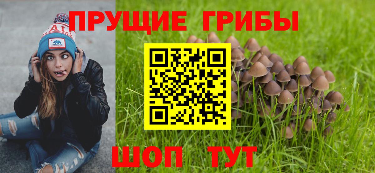 Псилоцибиновые грибы прущие грибы  Псилоцибиновые грибы Magic Shrooms  Вход с VPN  Новосибирск 